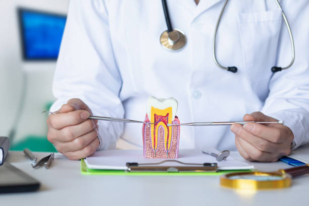 Best Emergency Orthodontic Repairs in Bath, MI